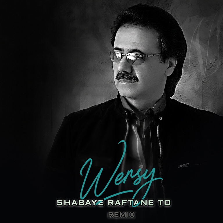 Moein Shabaye Raftane To